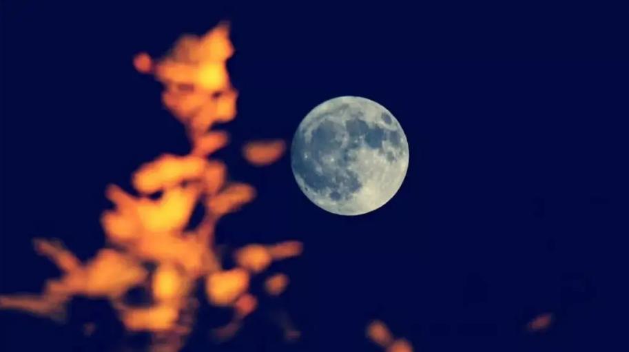 《月夜》古诗词鉴赏6篇,月夜的诗词有哪些表达了什么情感