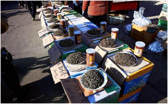 老茶客白牡丹散茶,茶叶散茶一般利润多少