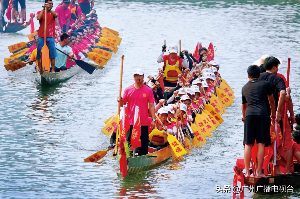 广州多区“睇龙船”超全指南,广东“睇龙船”指南来了