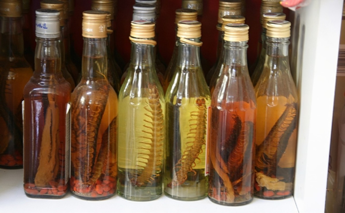 海关查获活体巨人蜈蚣体脂率咋算,海南海关查获加拉帕戈斯巨人蜈蚣