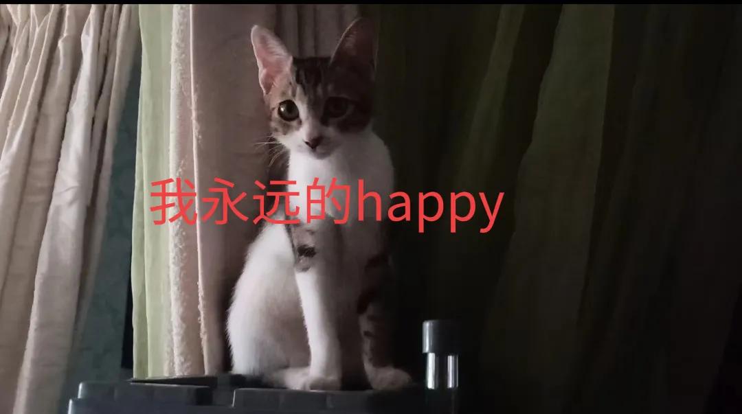 happy鎴戠殑濂冲鎻掓洸,浣爃appy鎴戜篃happy