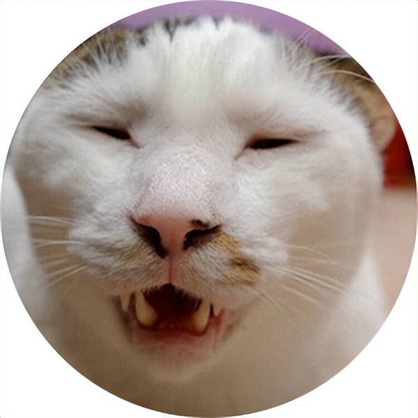 多巴胺带来的快乐有错吗,多巴胺玩坏的后果