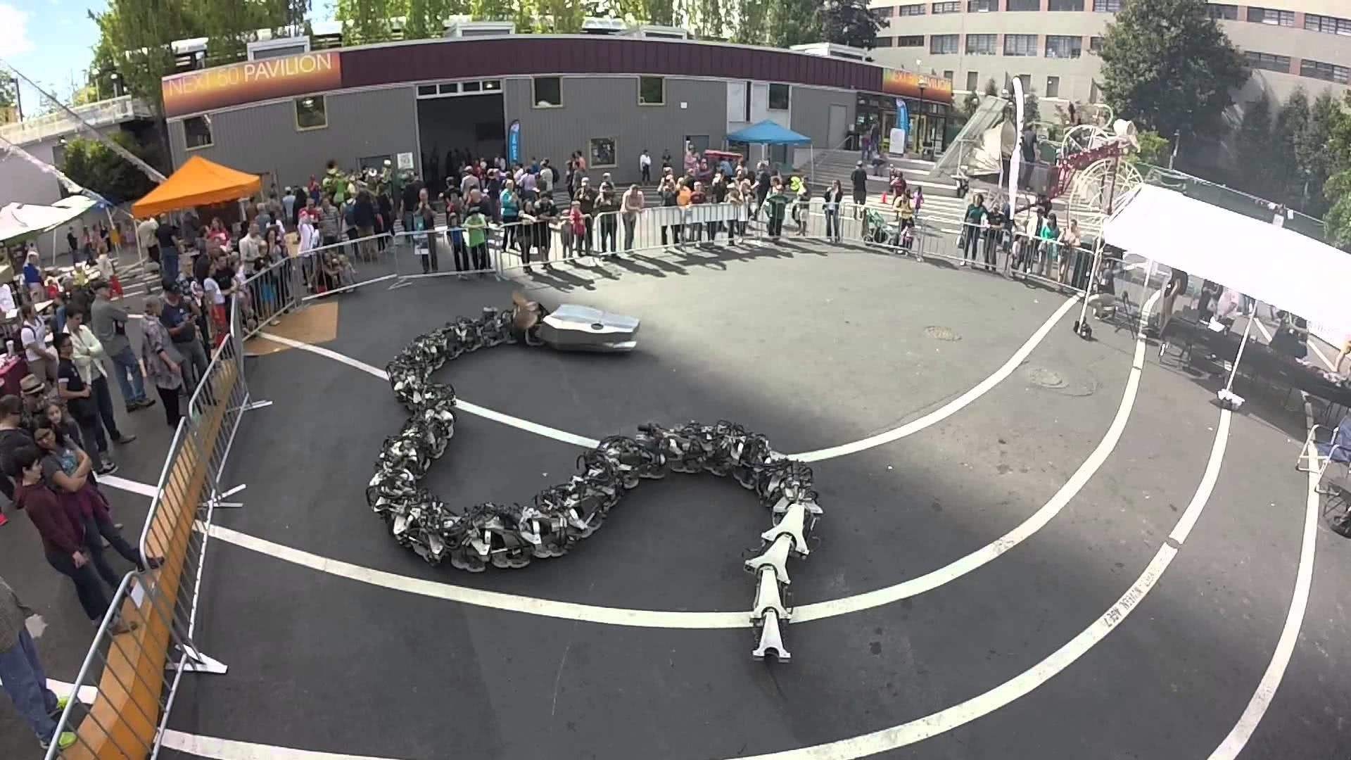 泰坦巨蟒最大身长可达多少米,史前泰坦巨蟒到底有多大