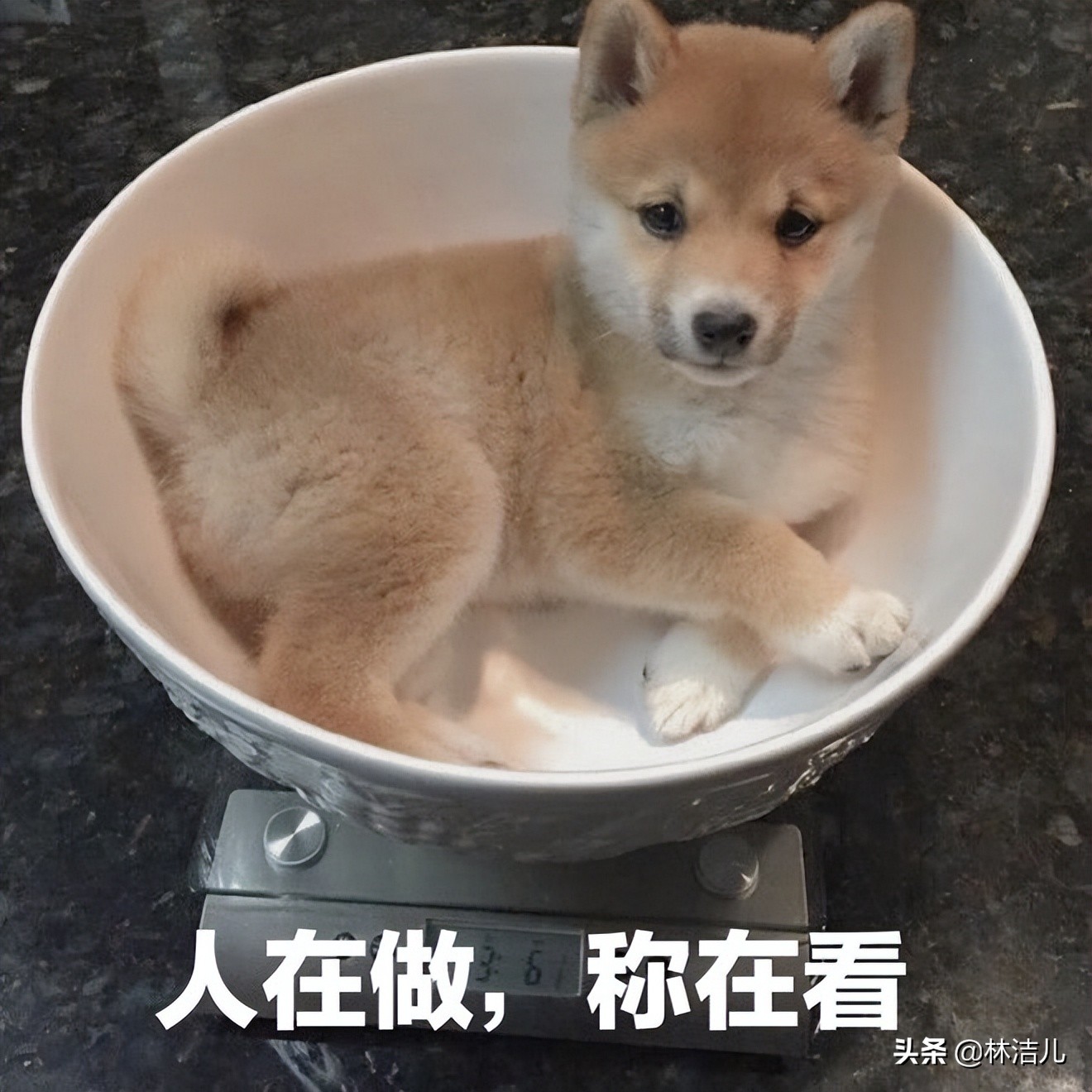 真没忽悠你，这5款“低脂甜品”减肥也能吃，江疏影张雨绮都爱了