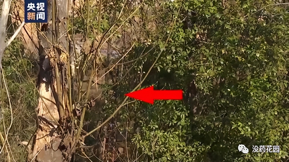 胡鑫宇死亡案例事件,胡鑫宇死亡案最真实的情况