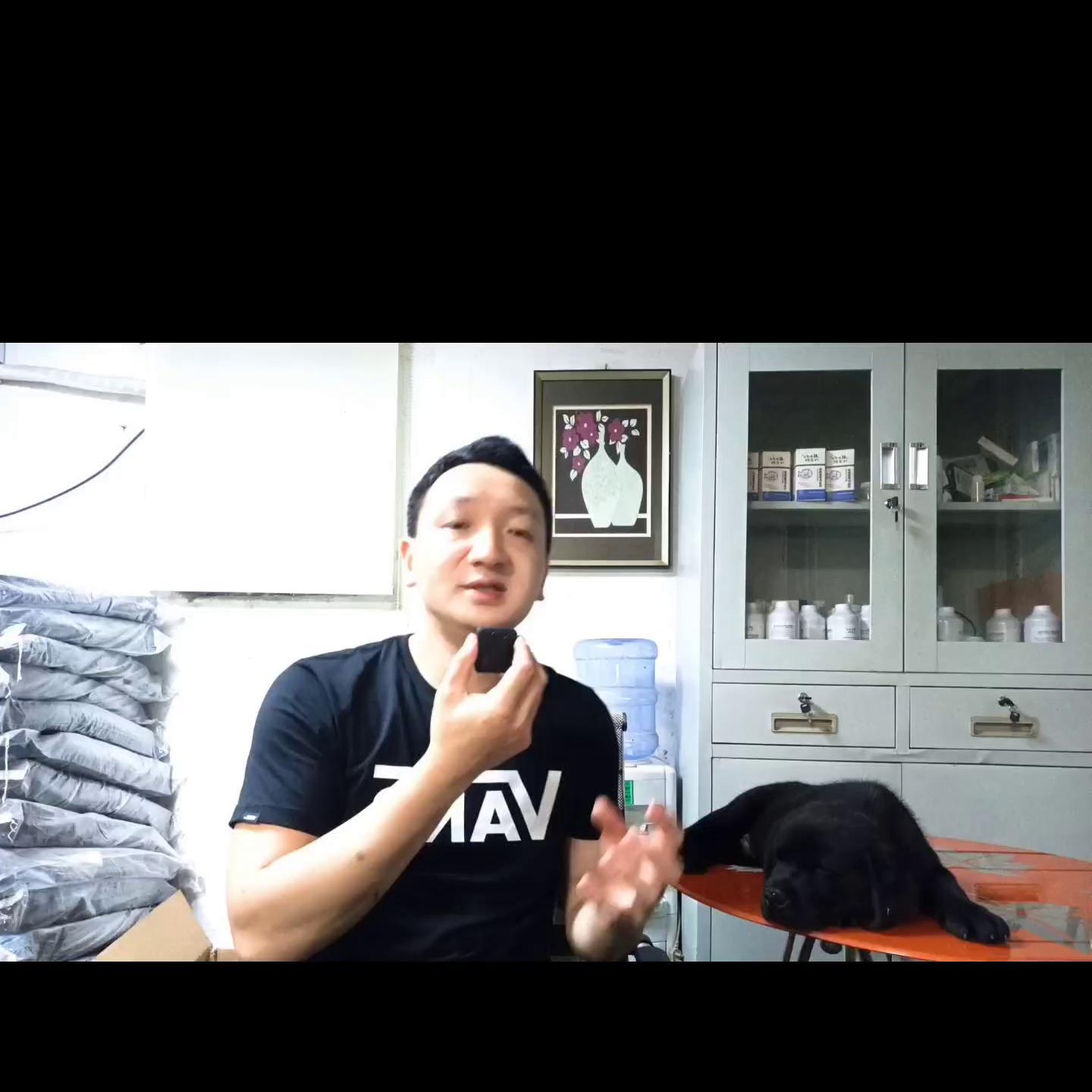 同窝小马犬怎么选,同窝最小的幼犬