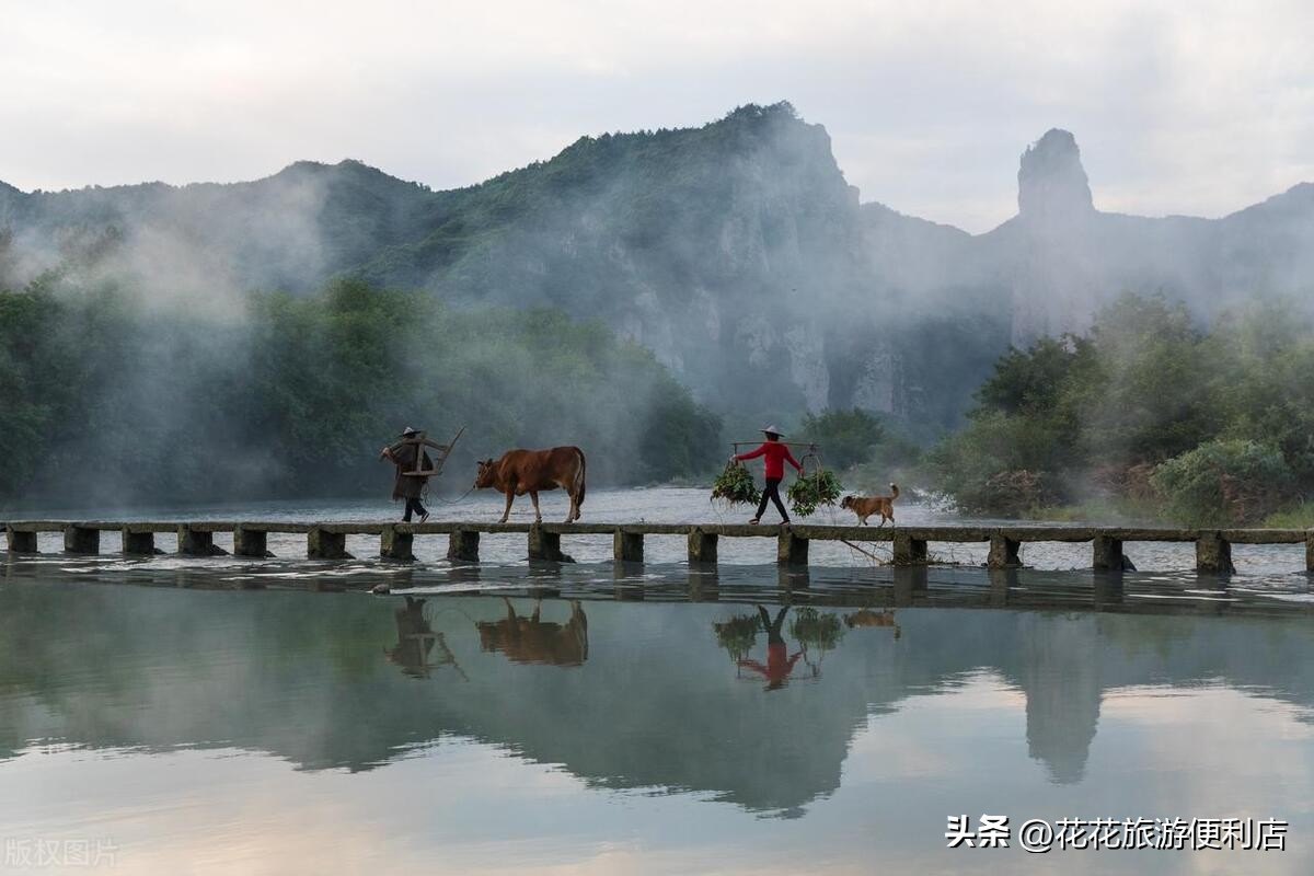 中国杨梅之乡浙江丈亭,中国杨梅之乡三洲