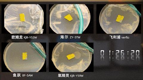 目前最好的制氧机有什么牌子,制氧机十大品牌评测