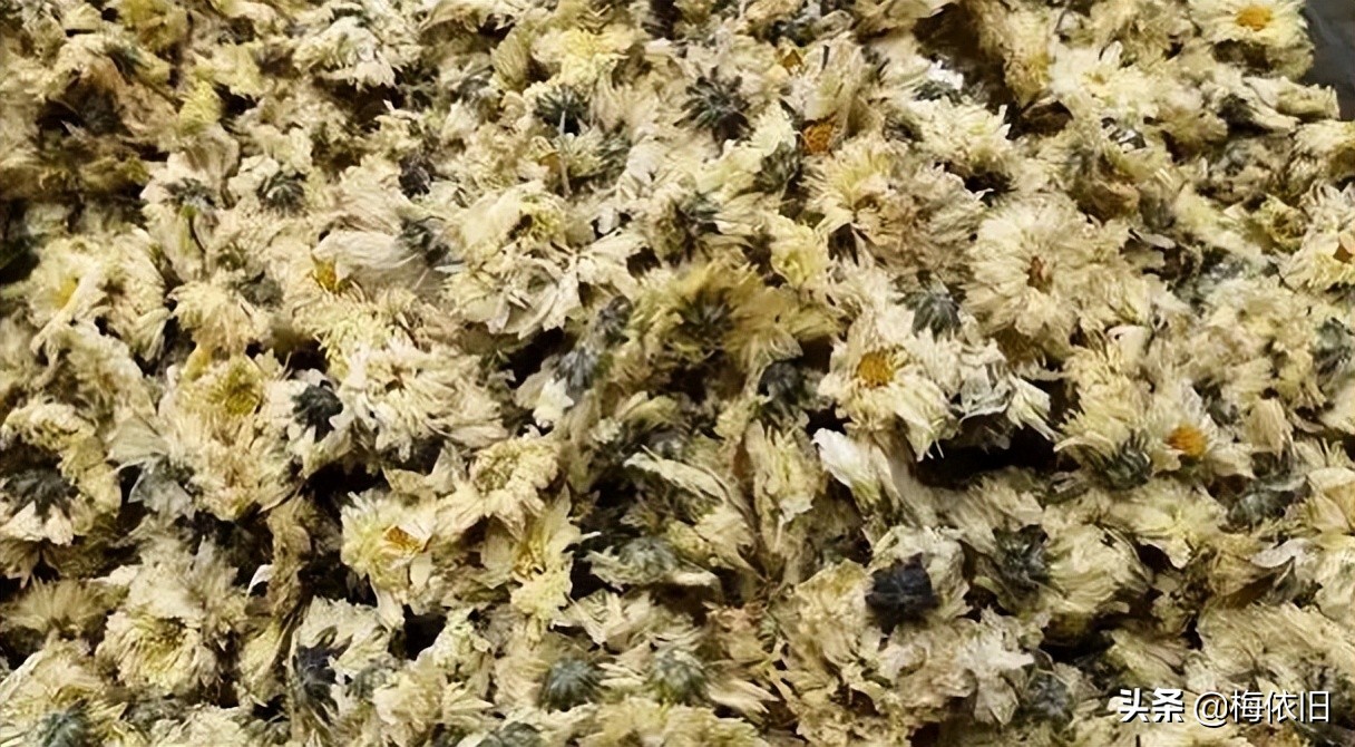 菊花茶的菊花怎么选,常见菊花茶品种