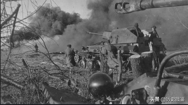 46年毛岸英回国,问父亲认不认识赤英,毛主席听后立即派人喊*德朱**