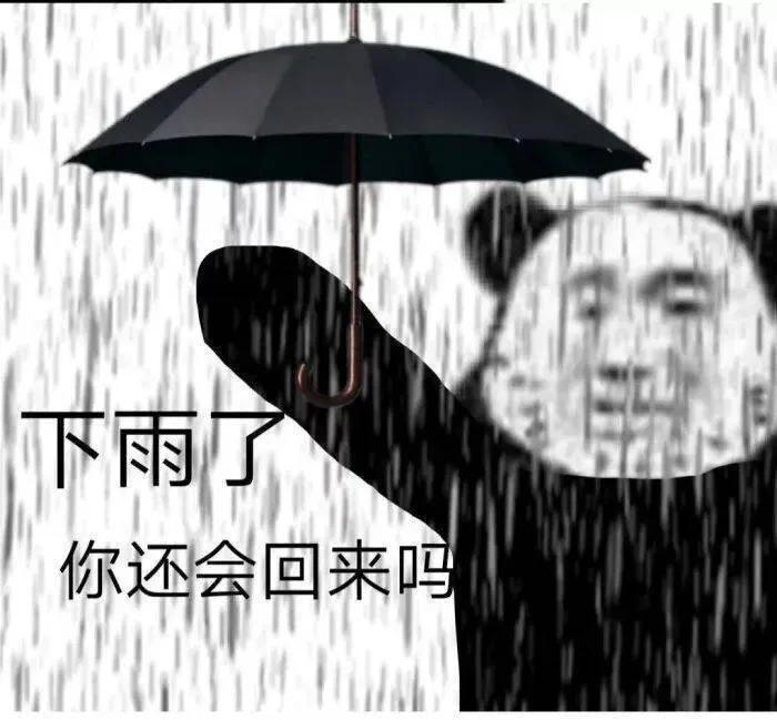 你究竟要我怎样薛之谦歌词,我知道你都知道薛之谦歌词