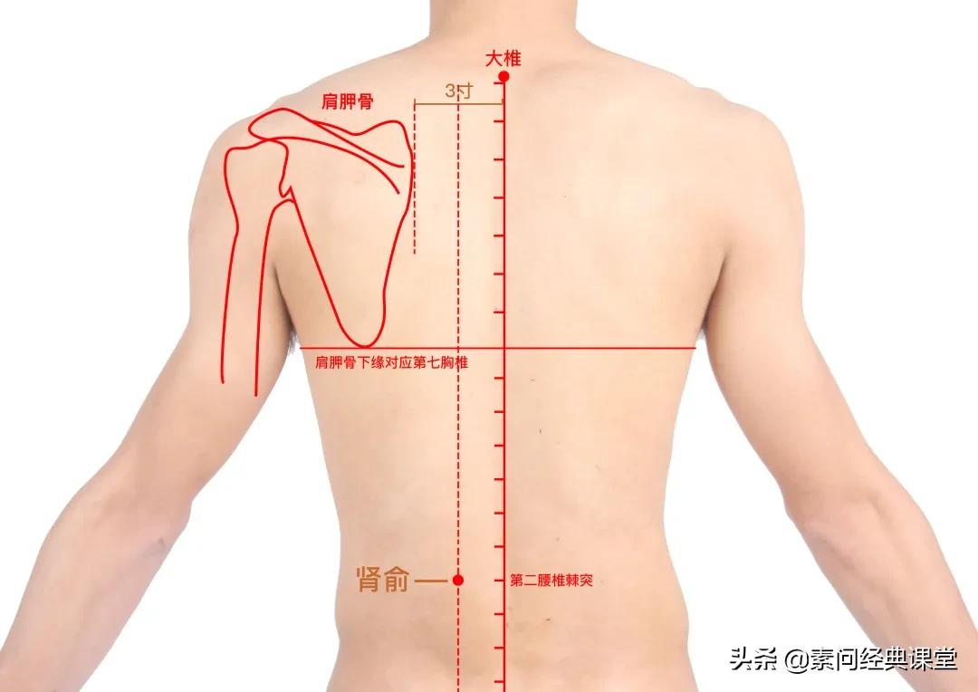 冬天抵抗力易下降，掌握这几个细节，为抵抗寒冷加把劲