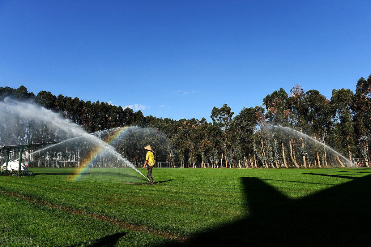 如何当好乒乓球比赛的场外指导？互相信任扬长避短控制节奏