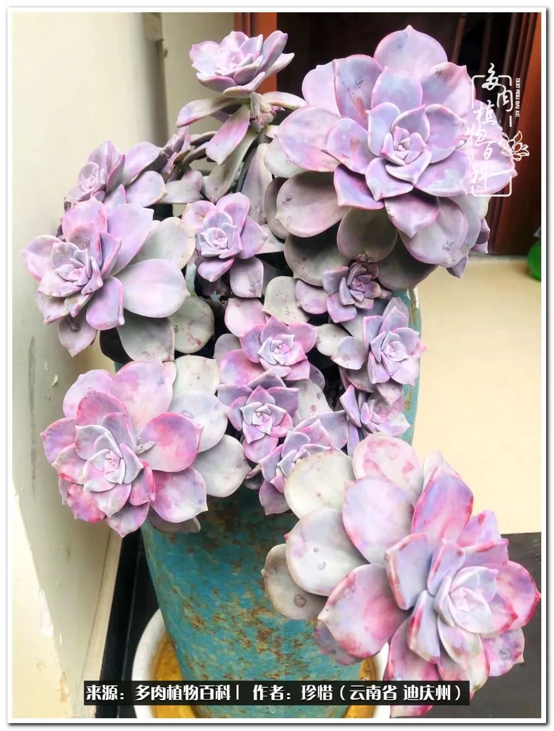 给生命一份淡然还岁月一份从容,给生命留一份洒脱的话