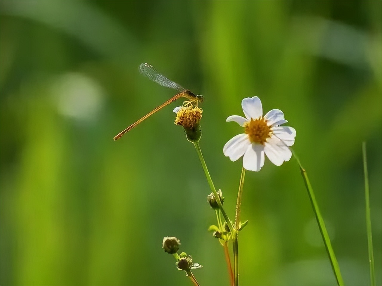 退休之后如何活好人生下半生,人退休了其实只剩下一件事要做