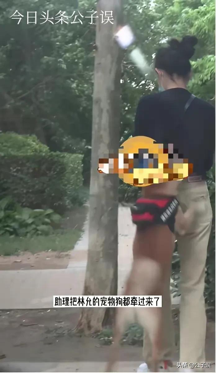 林允宋威龙冯绍峰,林允饰演最新恋爱电视剧