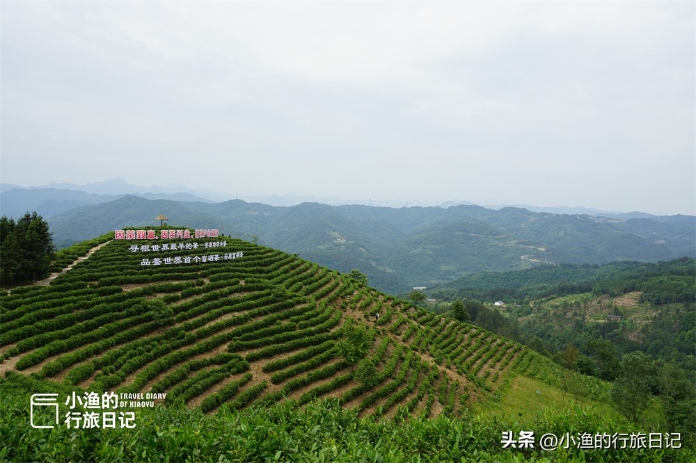 五一不出陕周边游,五一陕南旅游三日游攻略青木川