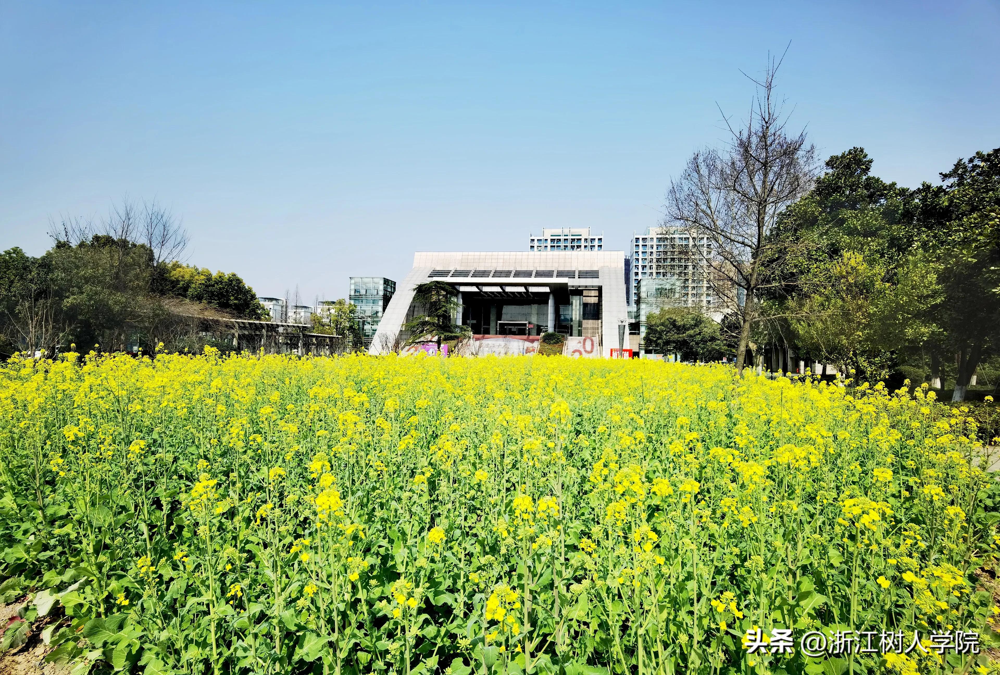欢迎报考浙江师范大学行知学院,欢迎报考杭州师大