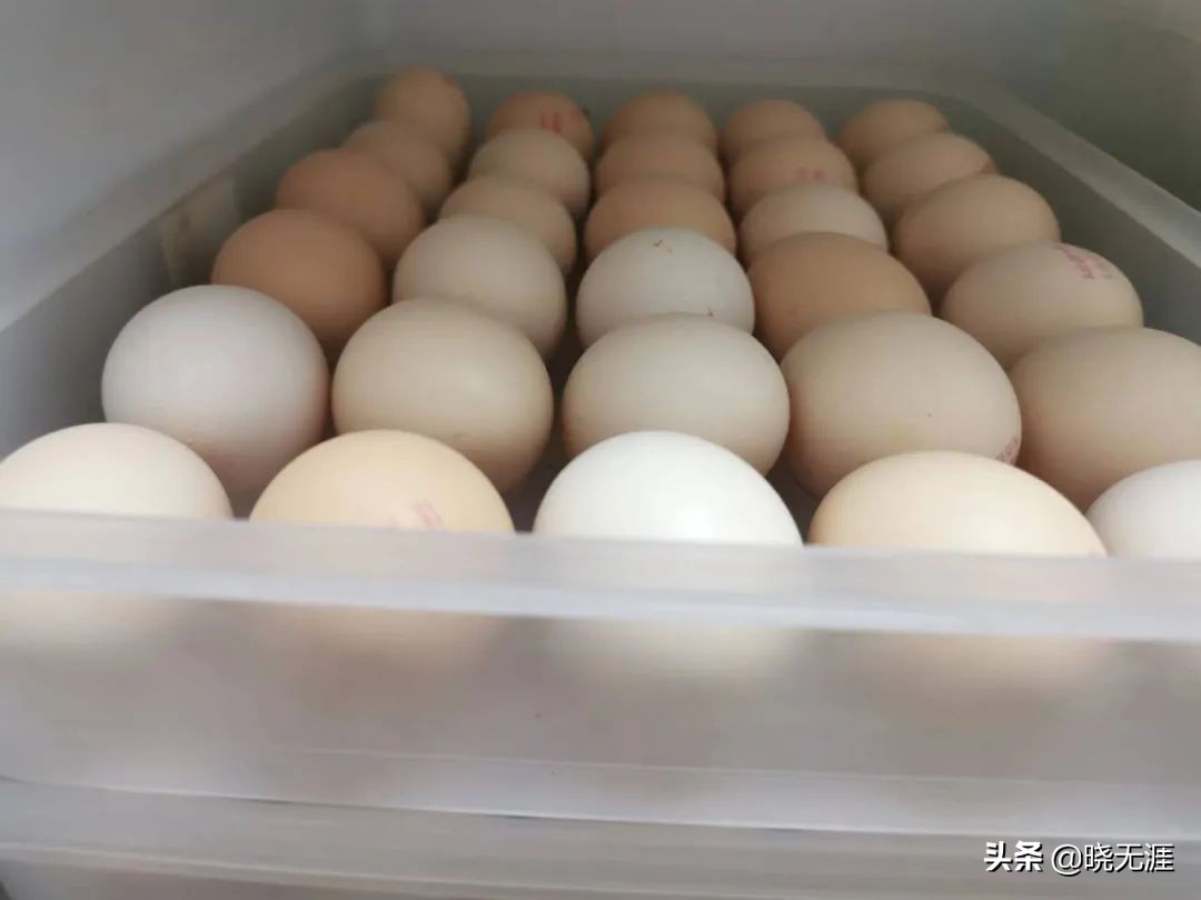 原创第700篇︱渴前掘井，未雨绸缪