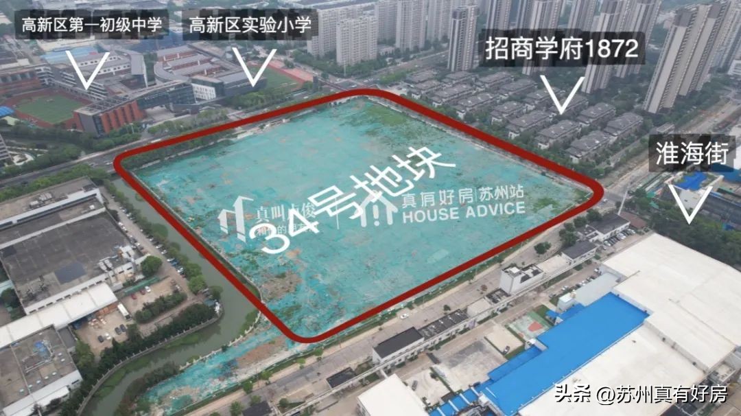 开局四大神兽,四大神盘新房