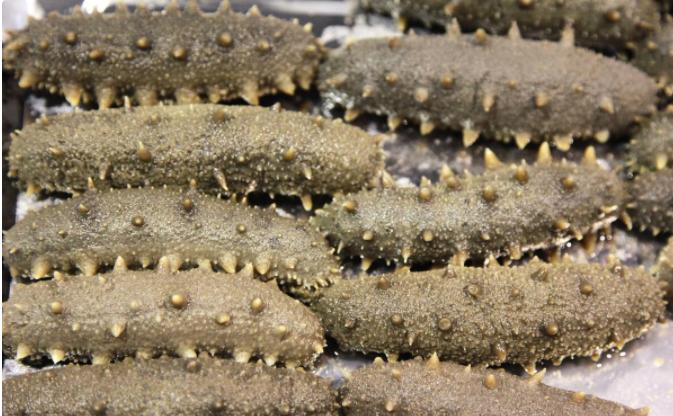 怎样泡发海参又大又好,泡发海参的方法有几种