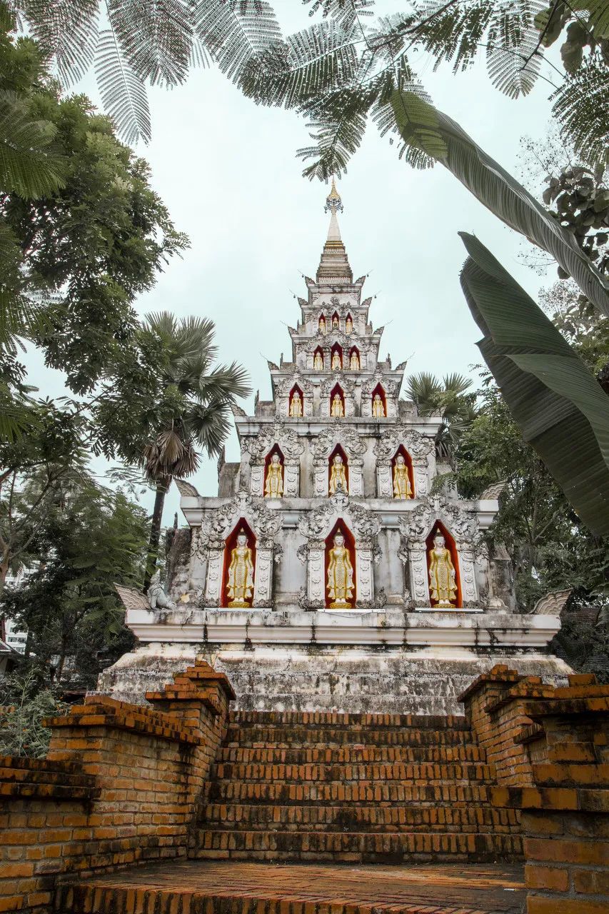 西双版纳体验雨林,吃遍热带水果西双版纳