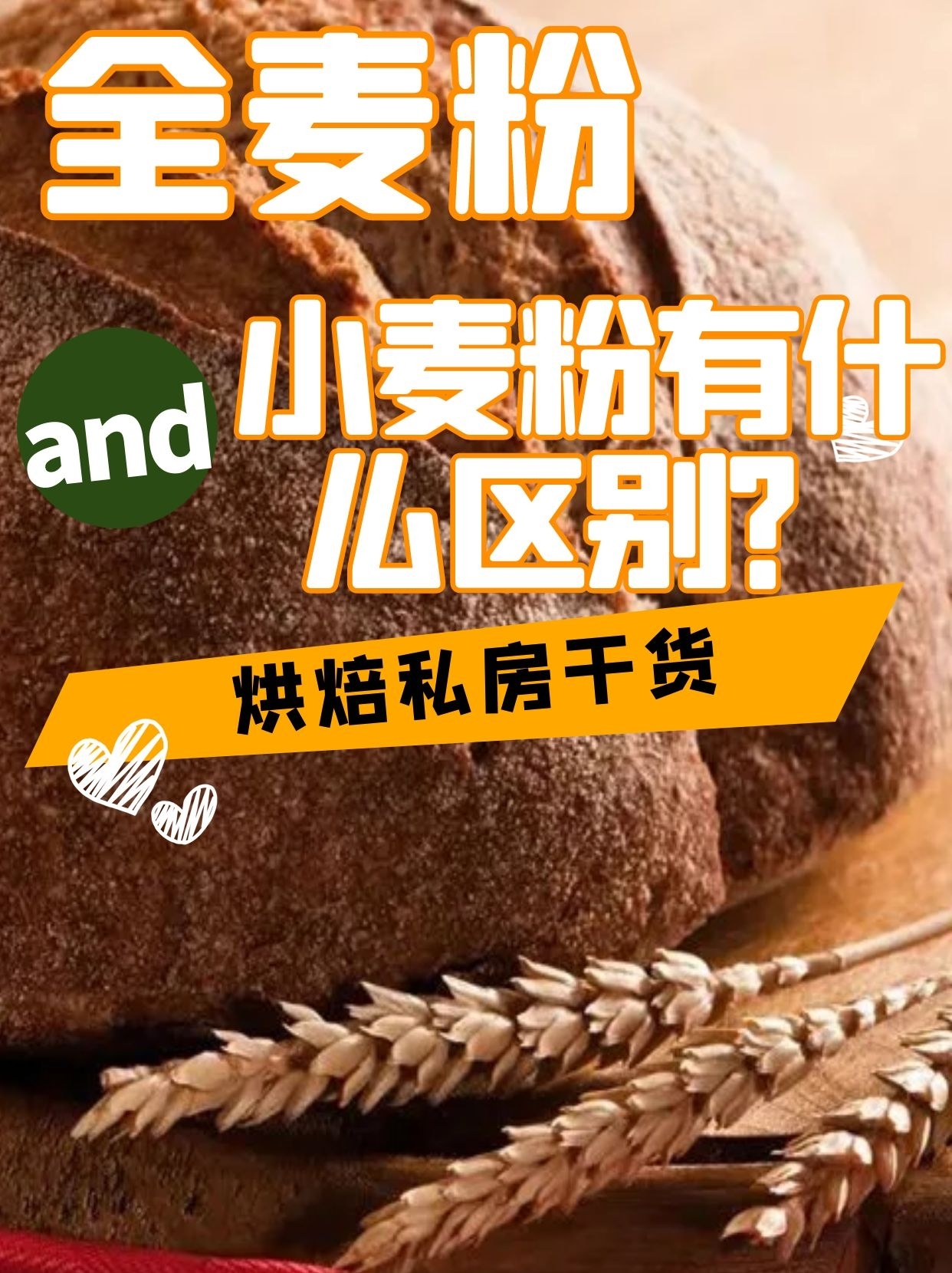 全麦粉和小麦粉面包的区别,做面包用小麦粉好还是全麦粉