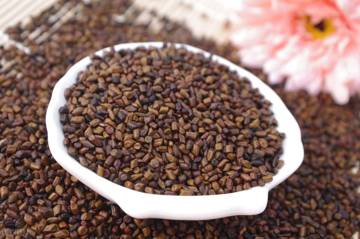 治便秘13种土方法,老人便秘怎么办教你一招轻松解决