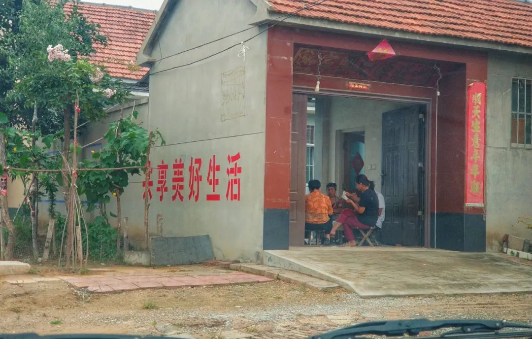 江苏人爱掼蛋,淮安人到底有多爱掼蛋