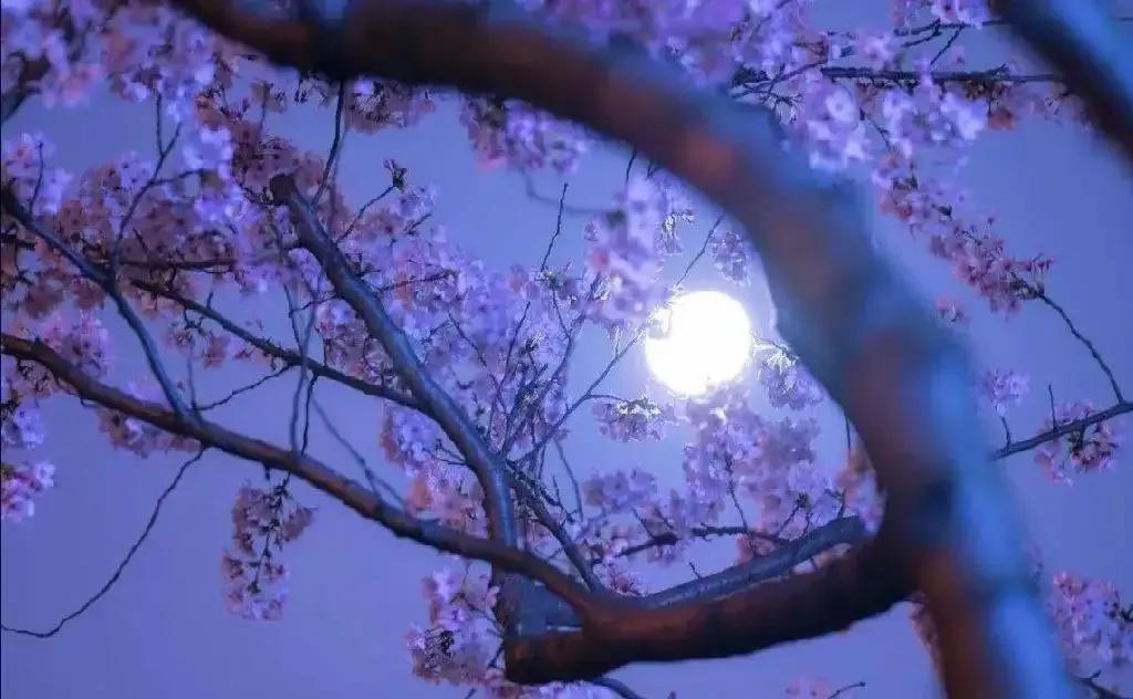 那些年，和同桌做过的最暧昧的事