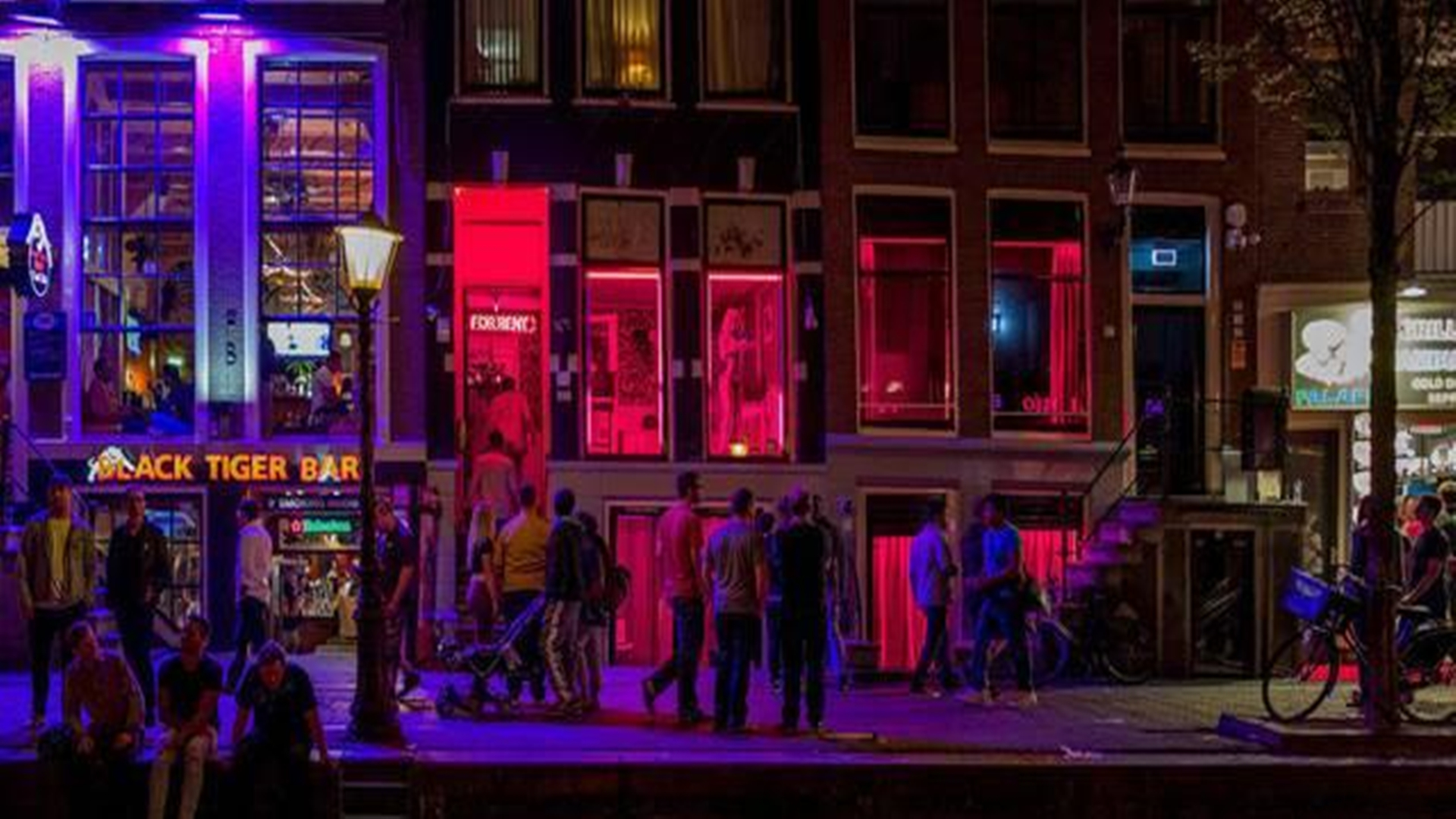 荷兰宣布性合法后遗症,荷兰合法化