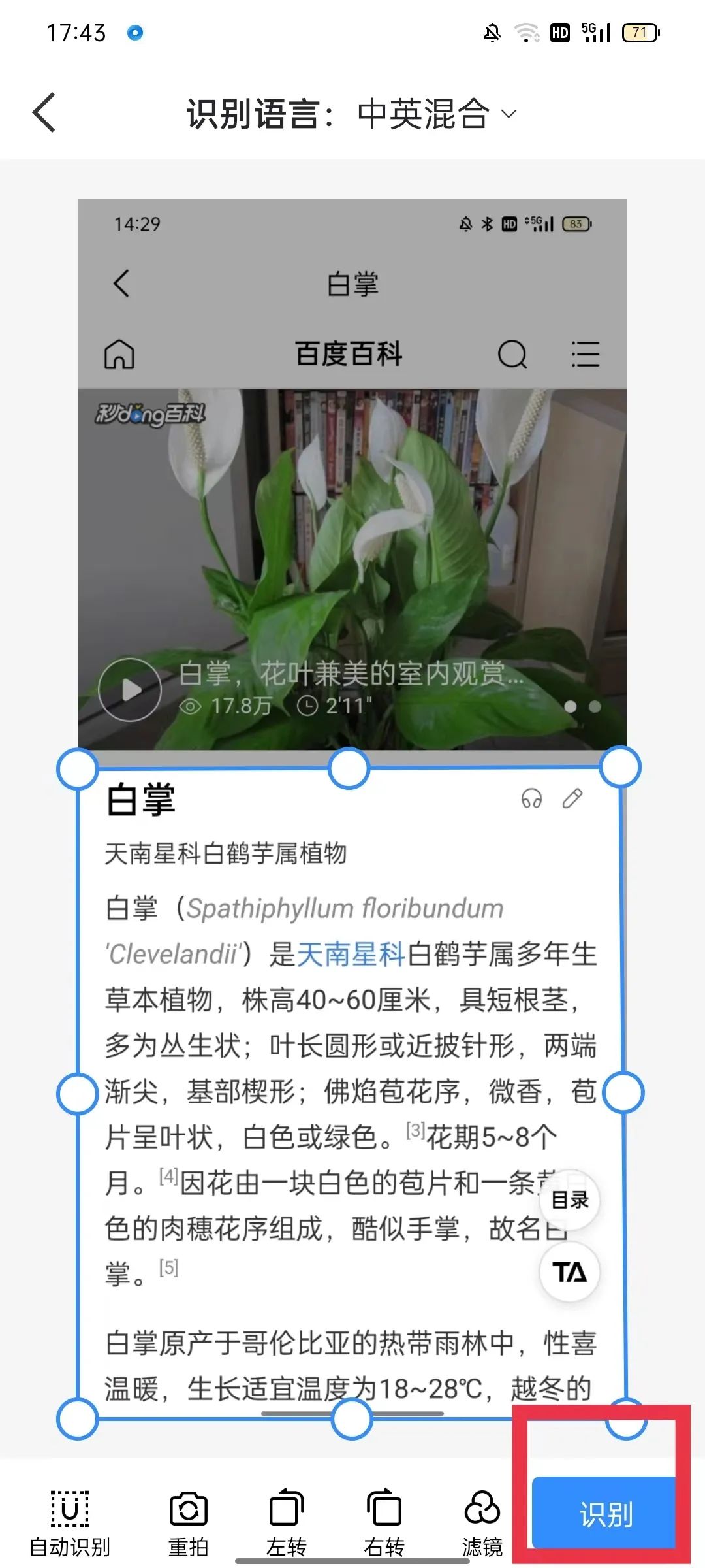 有什么免费的图片文字识别工具,图片文字识别提高准确率