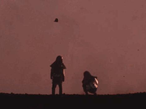 盘点内娱cp18年,内娱哪对cp可能是真的