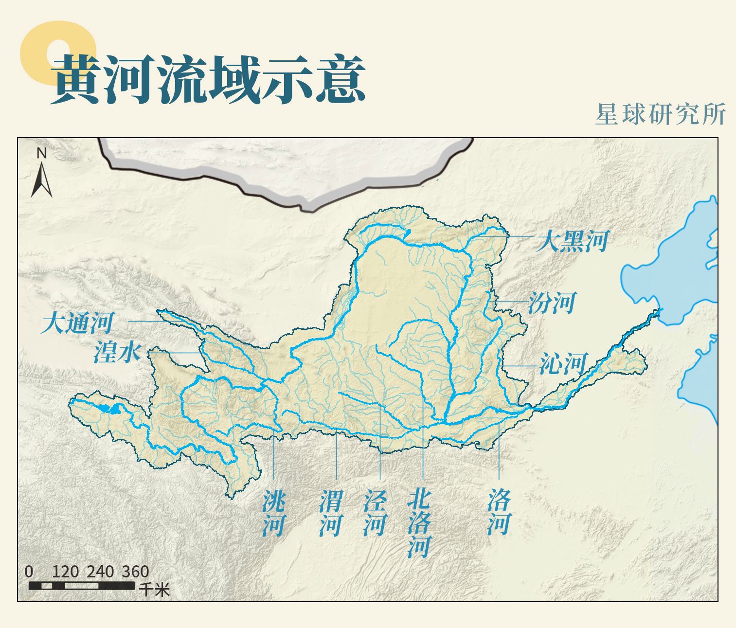 郑州黄河边捉老鳖,山东河南交界处黄河老鳖