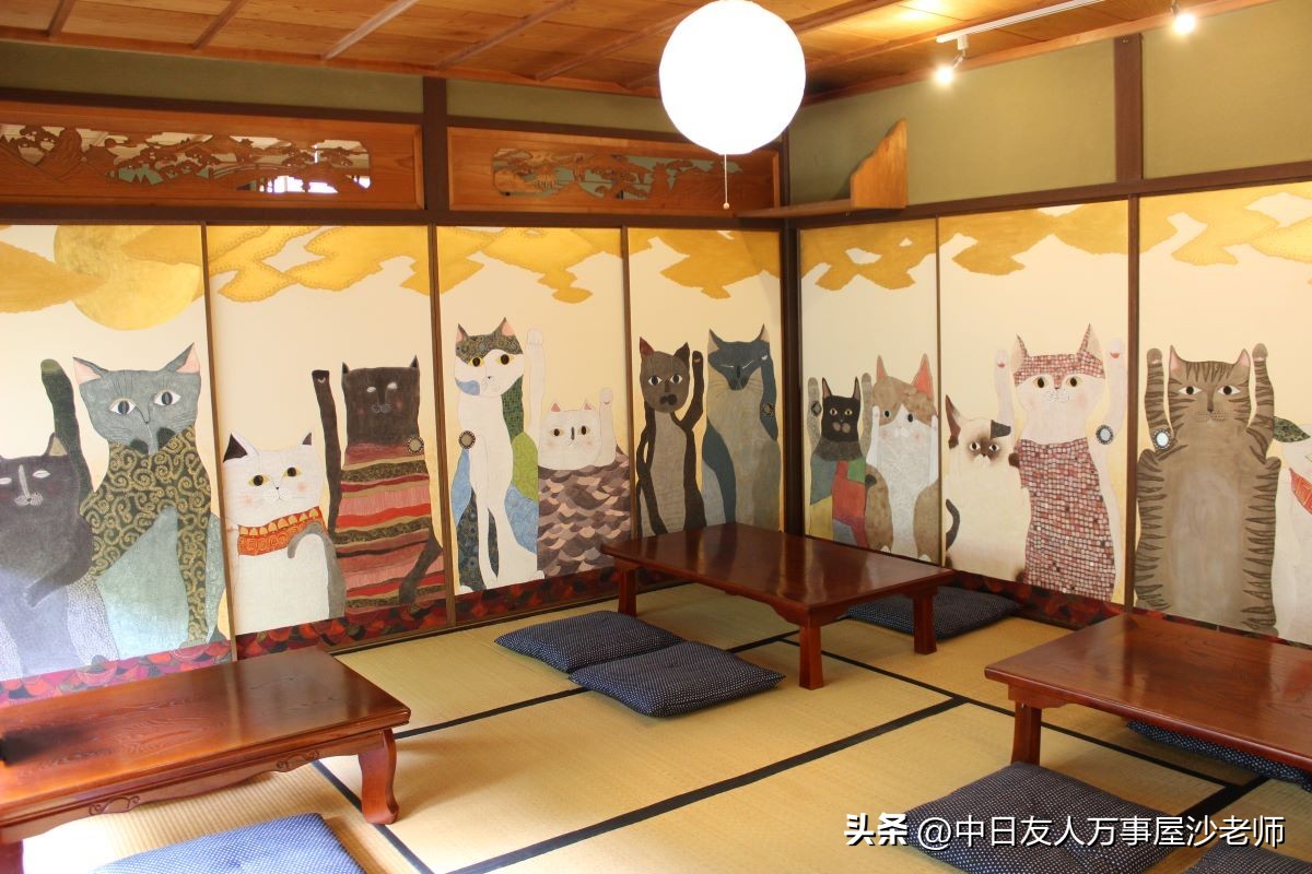 成都境内的猫咪打卡圣地,爱猫人士必去的十大景点