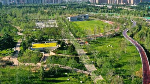 西安曲江运动公园健身,曲江周围户外运动