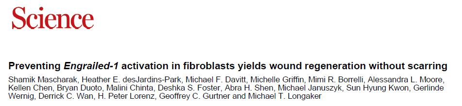 science镍钛,science钛合金