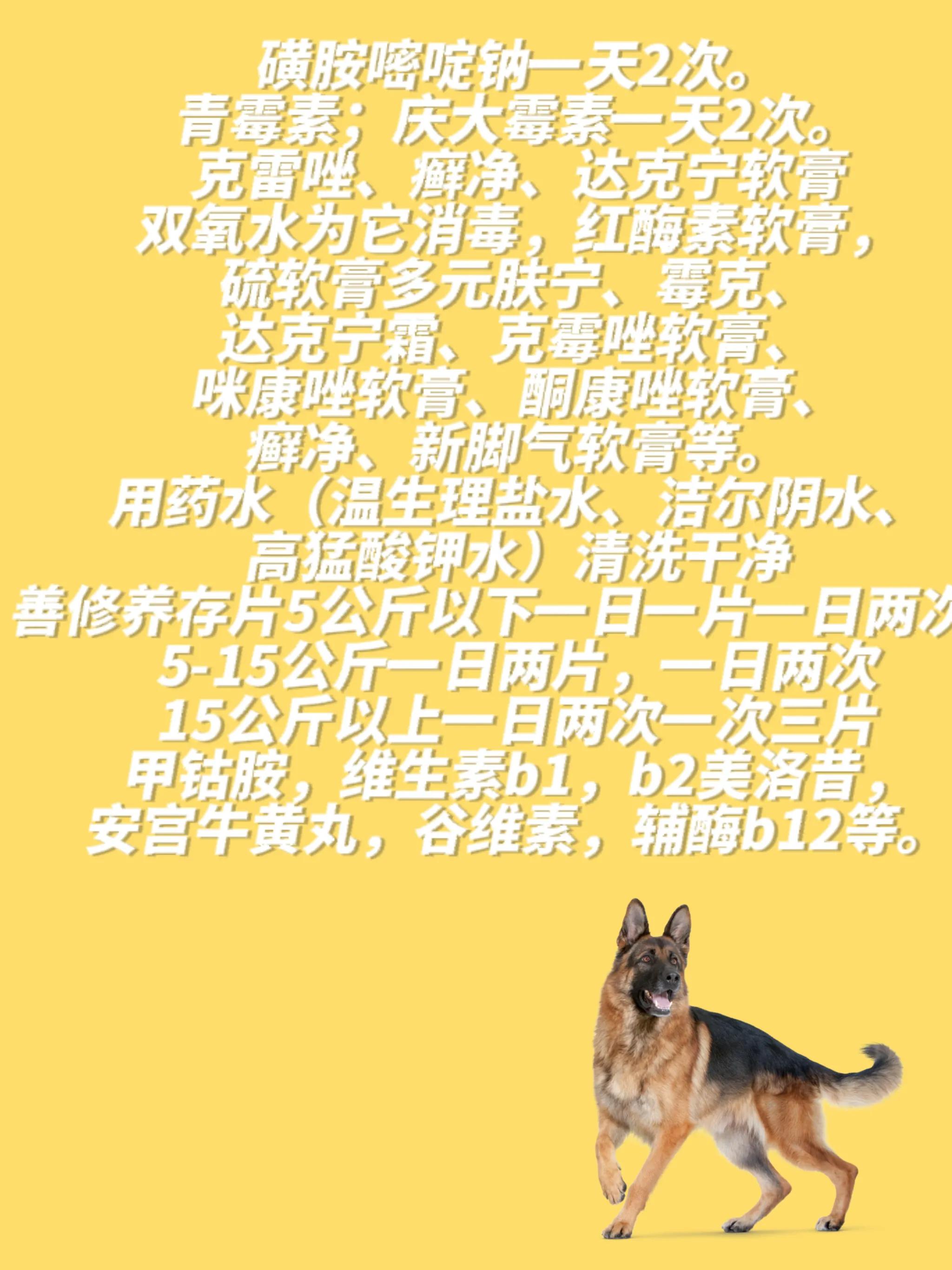 德国牧羊犬疾病,关于德国牧羊犬的小知识