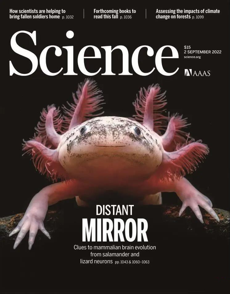 把自己玩成濒危的物种,把自己玩成了濒危动物