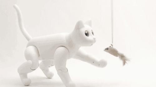 学生*党**的第一只机器猫，可以用来学代码