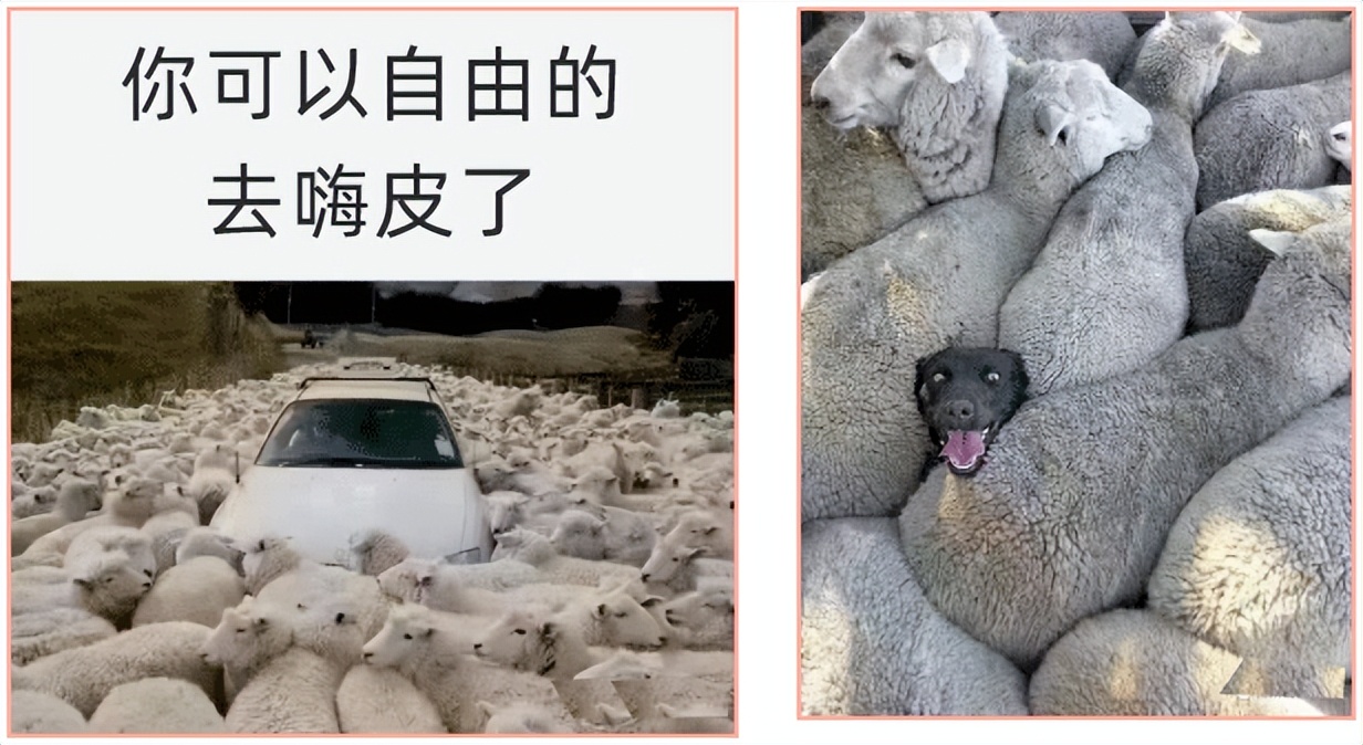 试管人“阳了”，后续就诊如何应对？居家、饮食要注意什么？