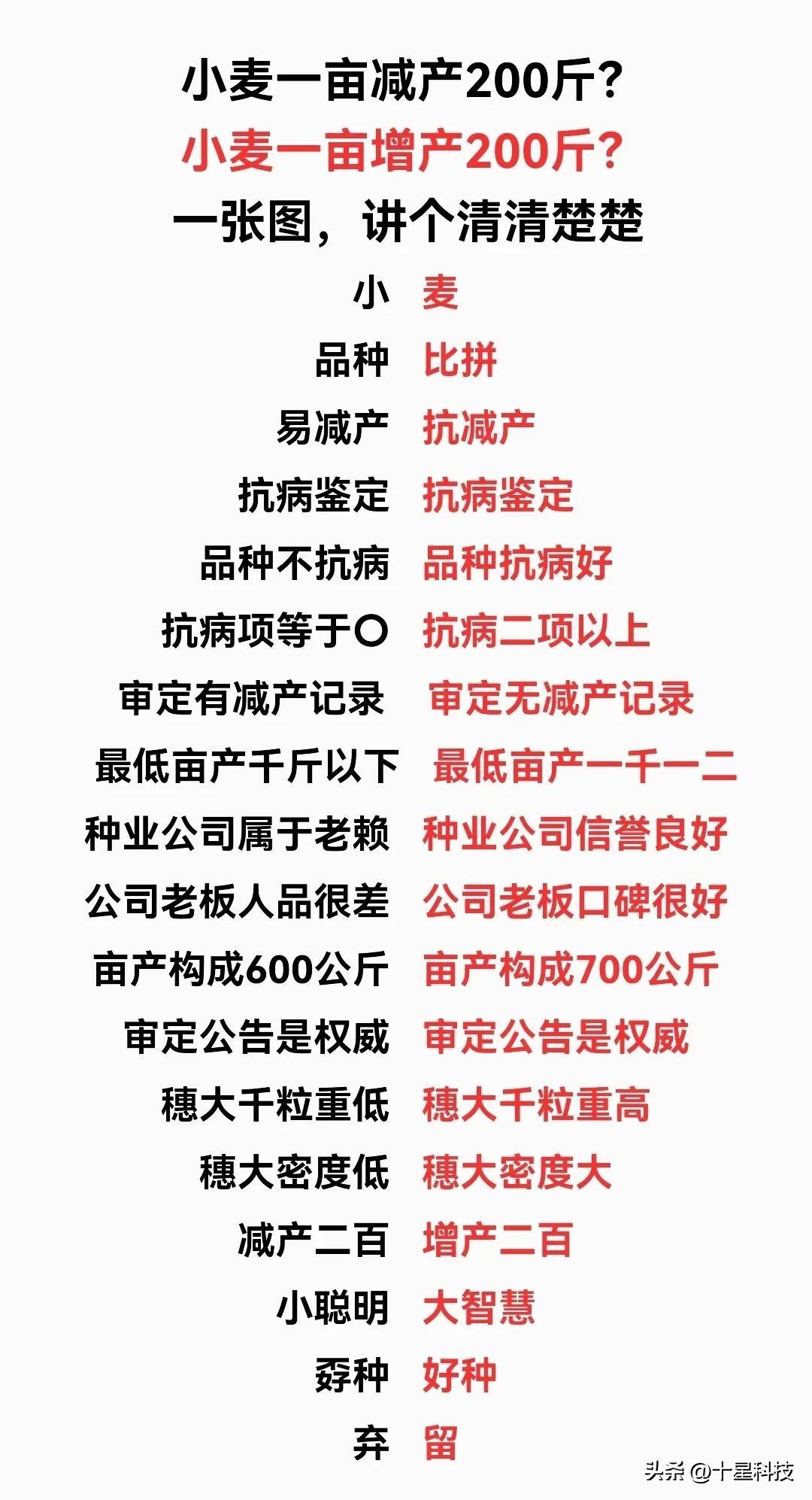 种子经销商：一念是高山，一念是深渊