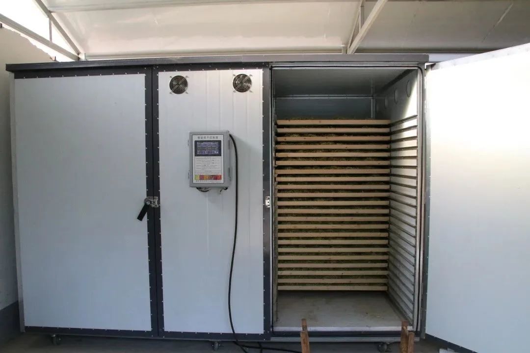 种植金银花带动村民增收,金银花种植致富案例