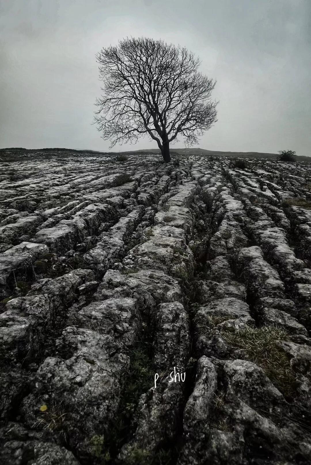 阿蒋的经历,阿蒋的真实身份