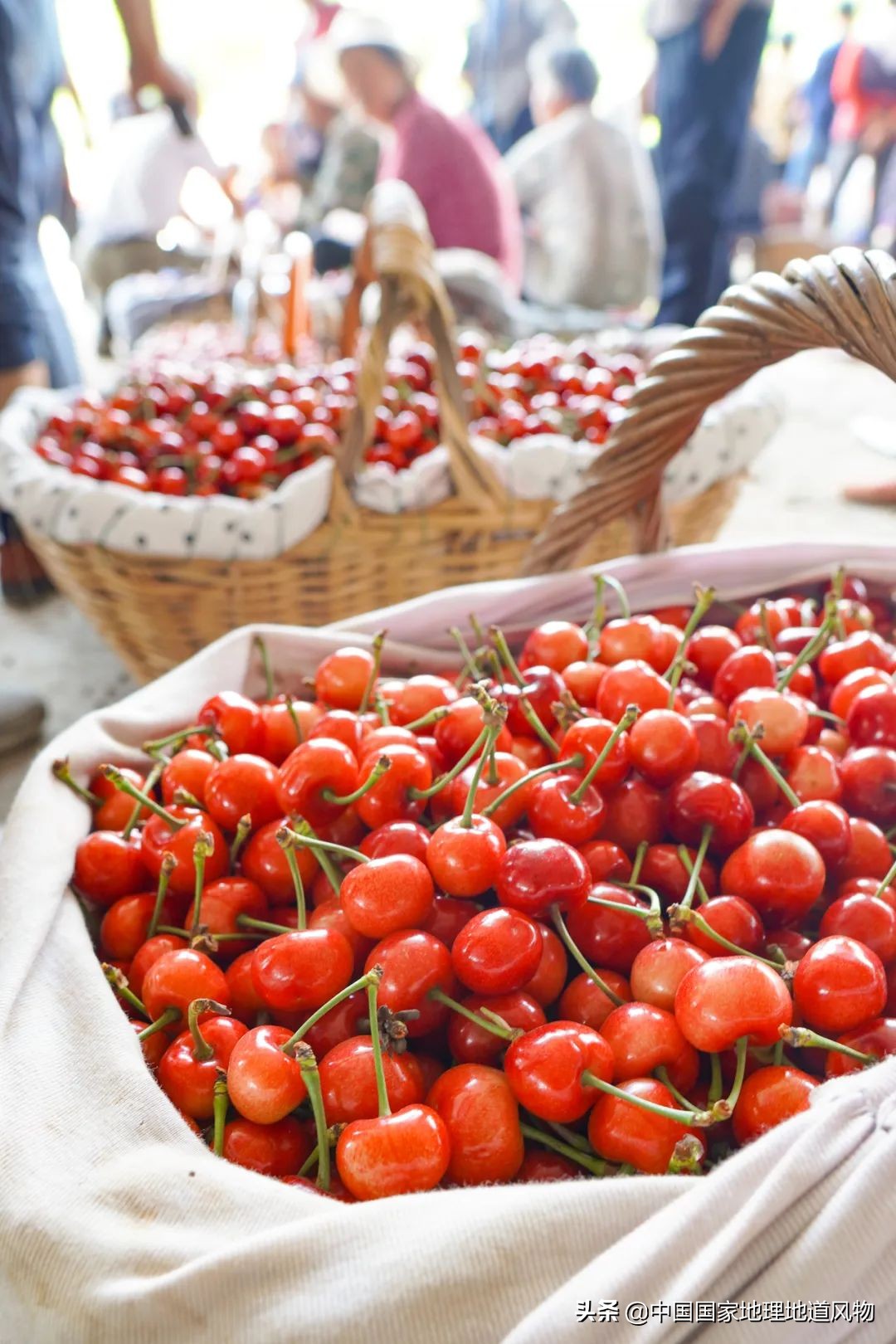 北方最适合旅游的沿海城市,北方的海边最好的地方