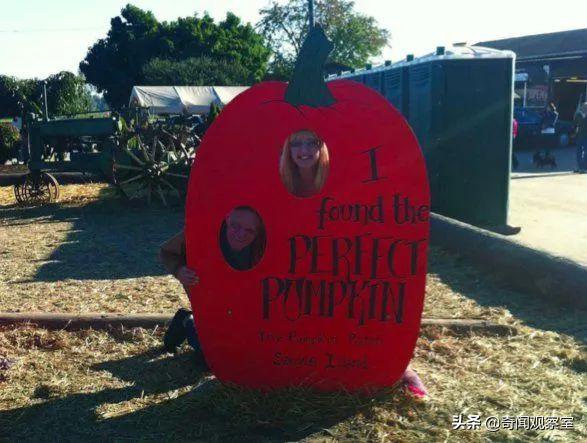 美国最恶心的冒险,美国史上最大的诈骗