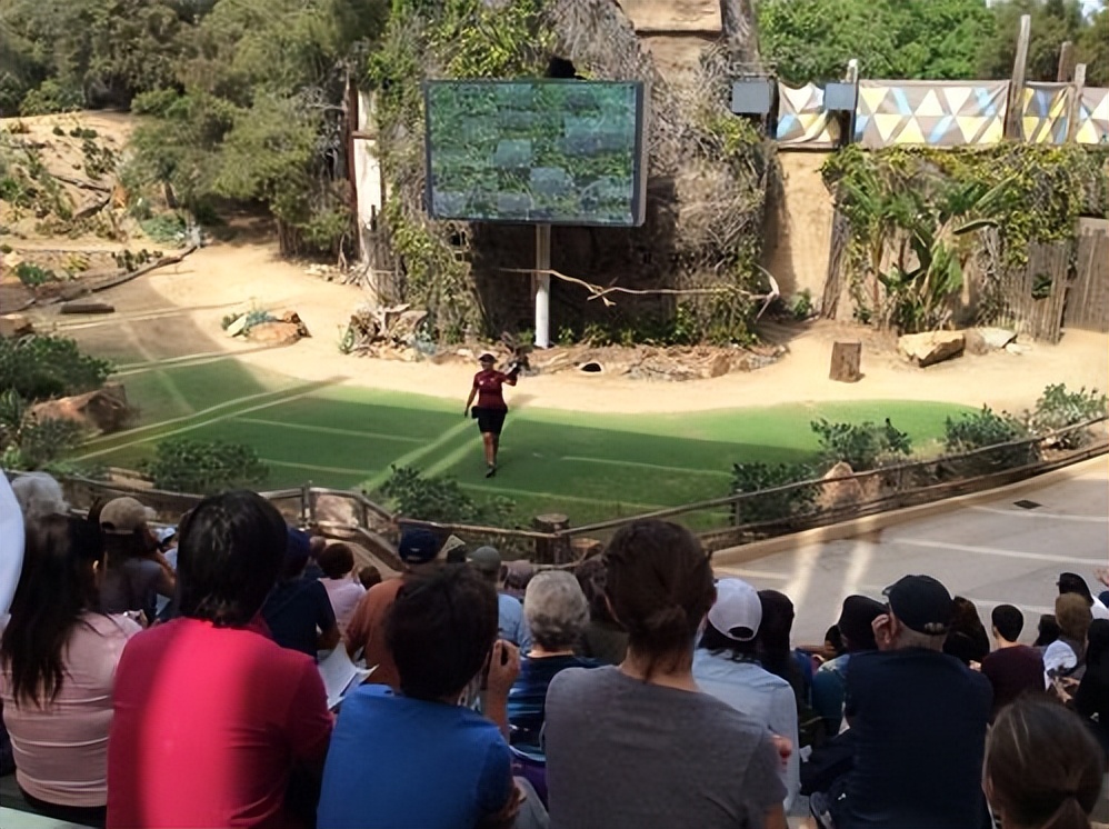 大兴野生动物园之旅,北京野生动物园和猛兽亲密接触