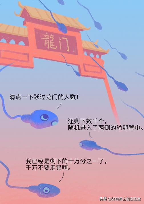 精子进入人体1小时变化,精子进入人体24小时变化