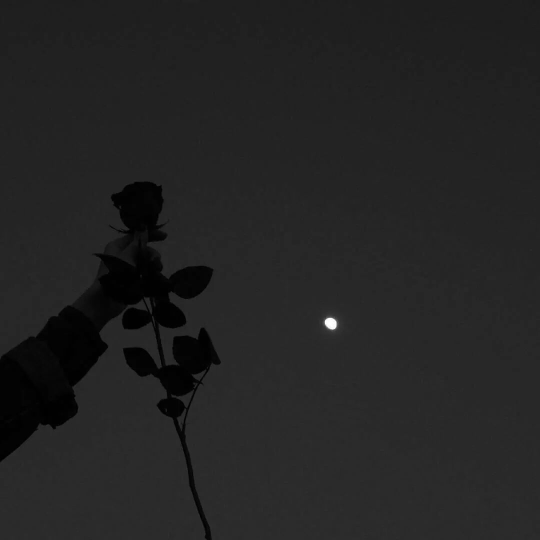 今日签收个性文字背景图,今日份高清背景图