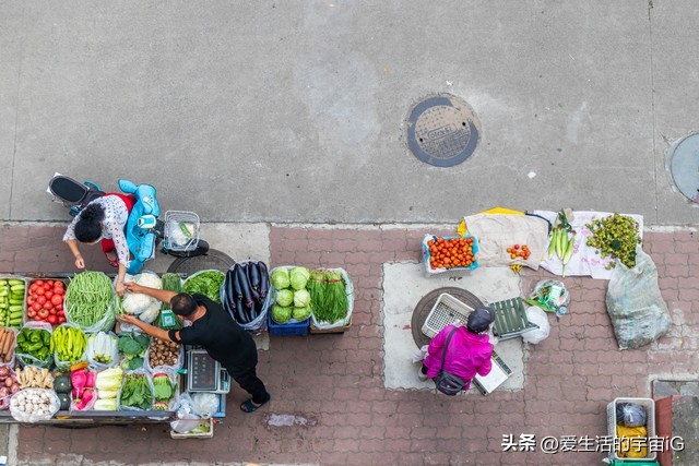 夹缝中求生存真的不容易,夹缝里求生存挣钱吗